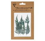 FLEURS SÉCHÉES PRÉSSÉES, Pochette de 10 pièces - Vert