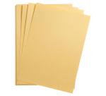 Maya paquet 25F A1 270g