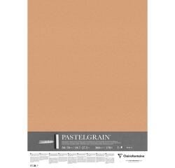 PastelGrain paquet 5F 50x70cm 360g - Sienne