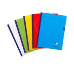 Cahier brochure cousue Mimesys 24x32cm 192 pages grands carreaux couverture polypropylène Couleur aléatoire - Assortis