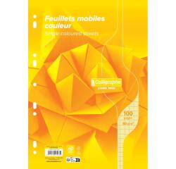 Feuillets mobiles sous film 7000 A4 100 pages perforées grands carreaux 80 g