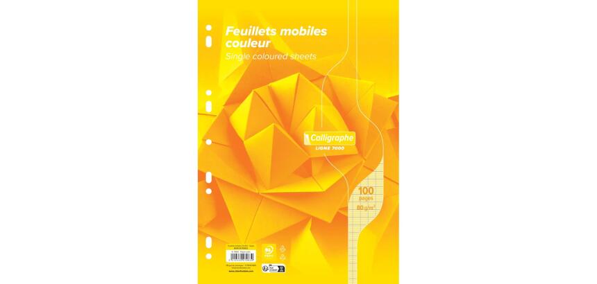 Feuillets mobiles sous film 7000 A4 100 pages perforées grands carreaux 80 g