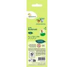 Graffy Bookmark, Dinosaures