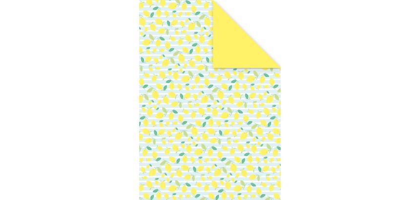 DECORATIV', Paquet de 25 feuilles 160g/m2 au format 21x29,7cm - Fraîcheur citron 5 - Multicolore
