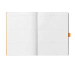 Rhodiarama Goalbook souple A5 240 pages dot papier blanc 90g - Taupe