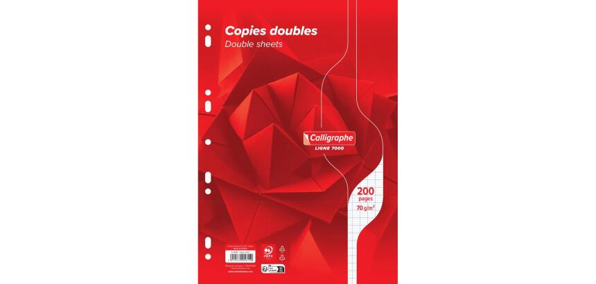 Copies doubles 7000 sous film A4 200 pages perforées grands carreaux 70 g
