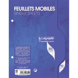 Feuillets mobiles 7000 17x22 cm 100 pages perforées 2 trous grands carreaux 90 g