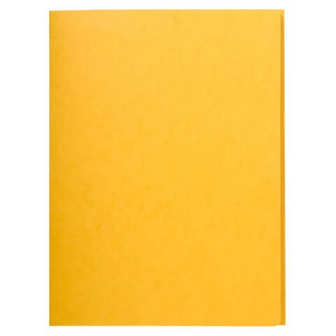 Carpeta Exacompta sin gomas con 3 solapas cartulina lustrada 400grs Nature Future - A4