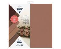 CUIR SYNTHÉTIQUE, Pochette de 5 pièces (épaisseur 0,8mm) au format 30.5x30.5cm - Assortiment