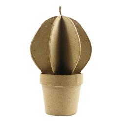 * Cactus boule - Kraft