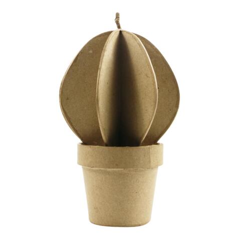 * Cactus boule - Kraft