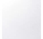 Bristol rame 25F 50x65cm 924g