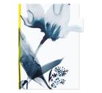 Inkebana, Set de 3 pochettes à onglets 22x31 cm, ass. - Multicolore