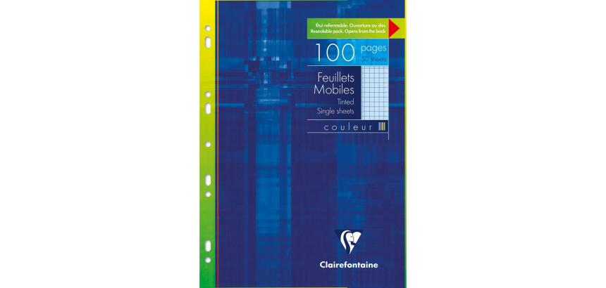 Feuillets mobiles de couleur sous étui A4 100 pages perforées petits carreaux