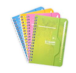 Répertoire reliure intégrale 7000 9x14 cm 100 pages petits carreaux 70 g - Assortis