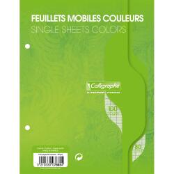 Feuillets mobiles sous film 7000 17x22 cm 100 pages perforées 2 trous grands carreaux 80 g