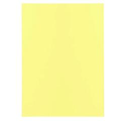 Pack of 100 folders SUPER 60 - 22x31cm