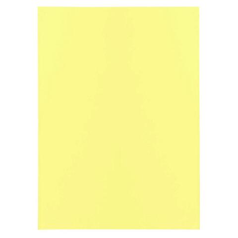 Paquete de 100 Subcarpetas de papel Super 60 g/m2 - Canario