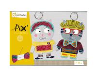 Boîte créative, Pix