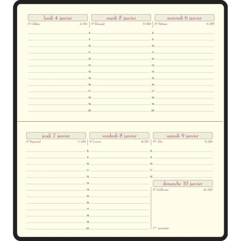 Recharge Agenda de poche Temporel 16 8,5 x 16 cm Semainier Janvier à Décembre 2026 - Tranche or