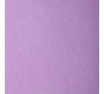 Etival Color paquet 5F A4 160g