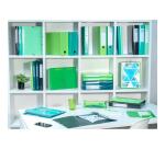 Transferbox aus Karton, Rückenbreite 90mm, 25,5x34x9 cm für DIN A4, Iderama