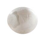 Cernit METALLIC 250 g Nacré - Nacré