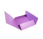 Chemise 3 rabats à élastiques Maxi Capacity carte lustrée 600g/m2 Scotten ®- A4