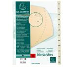 Intercalaires imprimés Carte peau 155g 12 positions de janvier à décembre - A4 - Ivoire