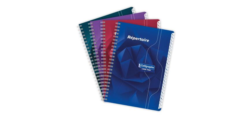 Répertoire reliure intégrale 7000 A5 180 pages petits carreaux 70 g - Assortis