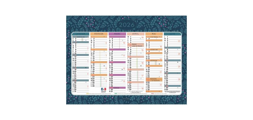 Calendrier illustré Mini Labo 17 x 13 cm Semestriel 2026