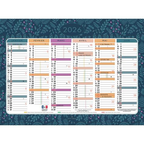 Calendrier illustré Mini Labo 17 x 13 cm Semestriel 2026