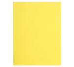 Paquete de 100 Subcarpetas de papel Flash 80 g/m2