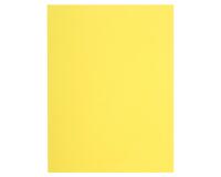 Paquete de 100 Subcarpetas de papel Flash 80 g/m2