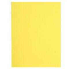 Paquete de 100 Subcarpetas de papel Flash 80 g/m2
