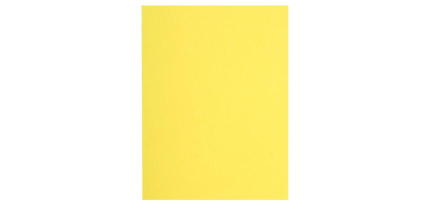 Paquete de 100 Subcarpetas de papel Flash 80 g/m2