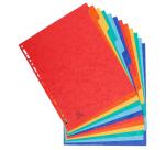 Tabbladen in echt soepel glanskarton 225g/m2 met 12 blanco tabs. - Geassorteerd