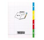 Cahier 4 index piqué 8000 POLYPRO 17x22 cm 96 pages grands carreaux 90 g - Incolore