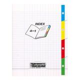 Cahier 4 index piqué 8000 POLYPRO 17x22 cm 96 pages grands carreaux 90 g - Incolore