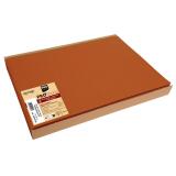 Bakje met 100 placemats van spunbond, effen - Formaat 30 x 40 cm