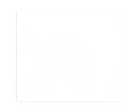 Tulipe rame 25F 50x65cm 160g