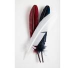 Plumes d'oie taillées 28cm