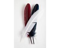 Plumes d'oie taillées 28cm