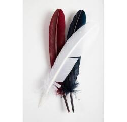 Plumes d'oie taillées 28cm