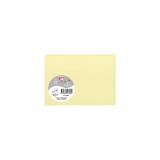 Paquet de 25 cartes simples Pollen 110x155mm 210g/m2