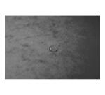 Carpetas impresas con gomas sin solapas Cartulina lustrada 355 g/m2