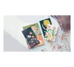 Agenda de bureau EasyDay Journal 17 Mini Labo 12 x 17 cm Journalier Janvier à Décembre 2026 - Vert