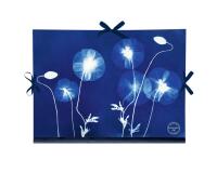Cyanotype, Carton à dessin 28x38cm, fermeture avec 3 rubans