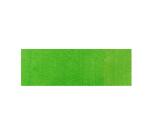HD classique 125ml Vert anis - Vert anis