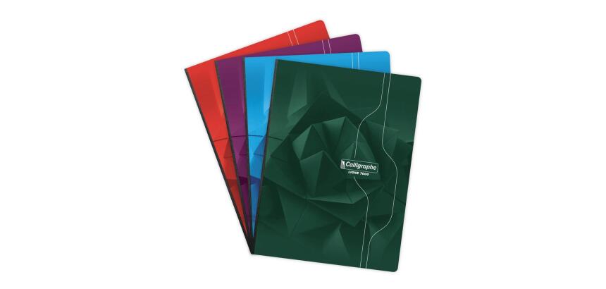 Zachte gebonden schrift met ruglinnen 7000 24x32 cm 288 pagina's grote ruiten 70 g - Assorti